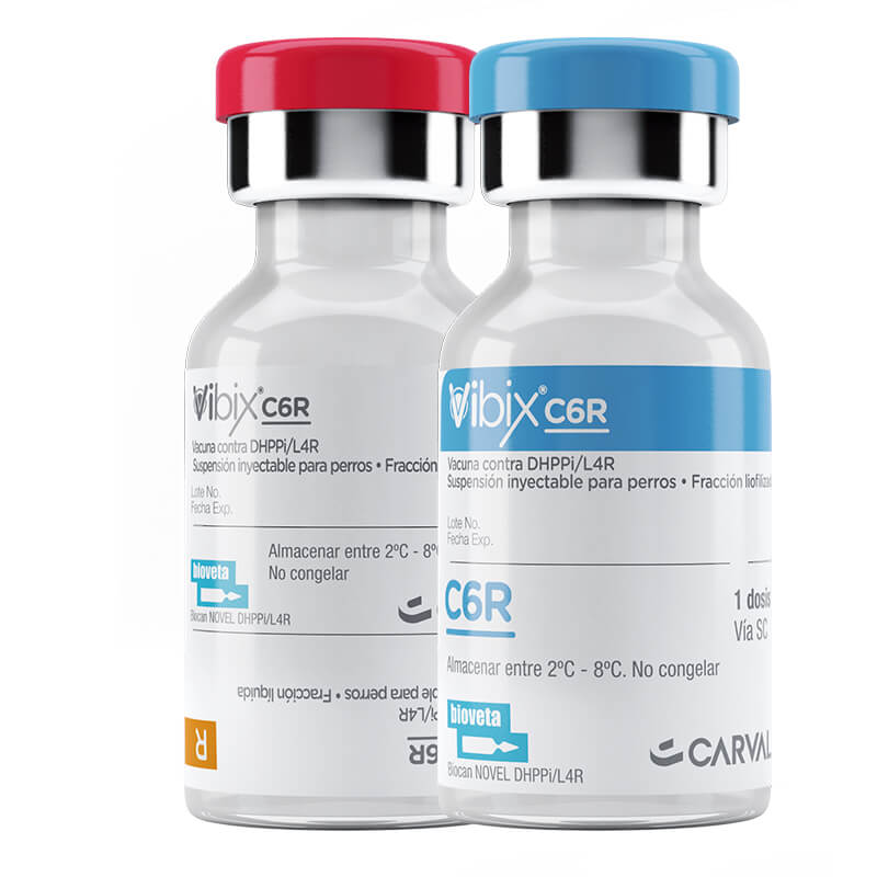 Vacuna Hexavalente Vibix C6R (Vibix)