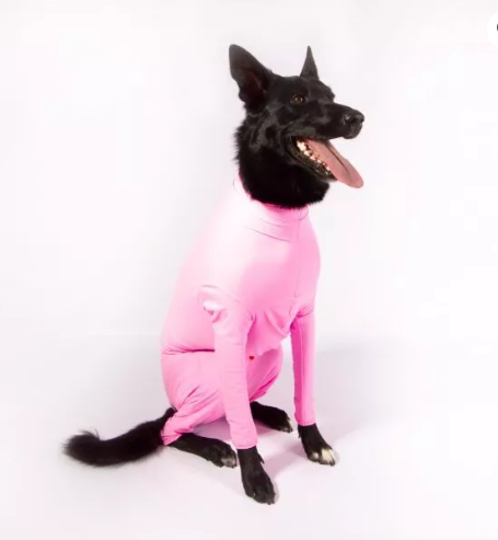 Enterizo Capilli Para Perros Rosa Flamenco XL