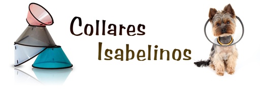Collar Isabelino Talla XXL