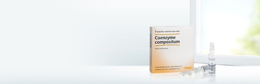 Coenzyme Compositum amp